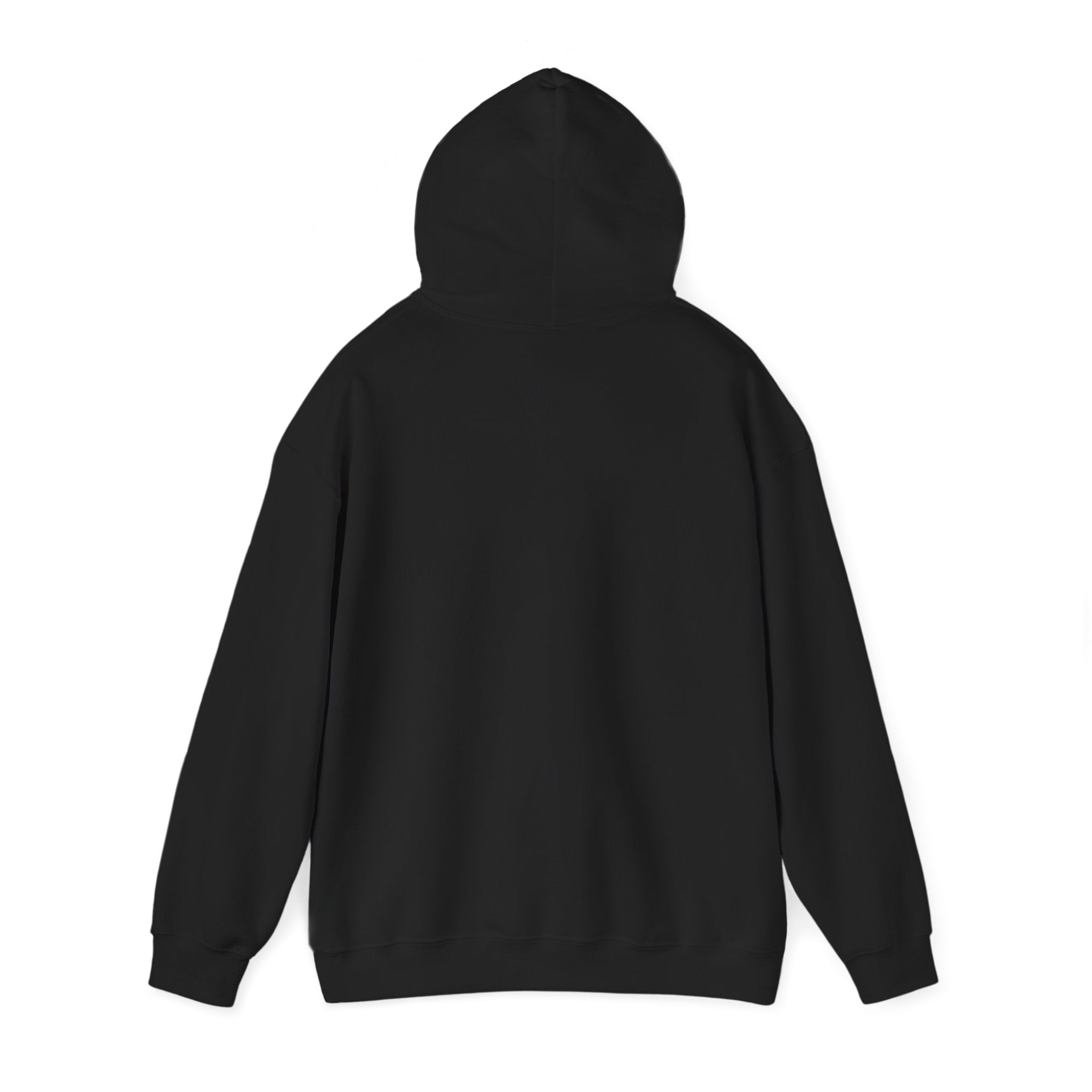 Walking The Dogs Funny Dog Hoodie, Dog Walker Gift, Pet Lover Hoodie
