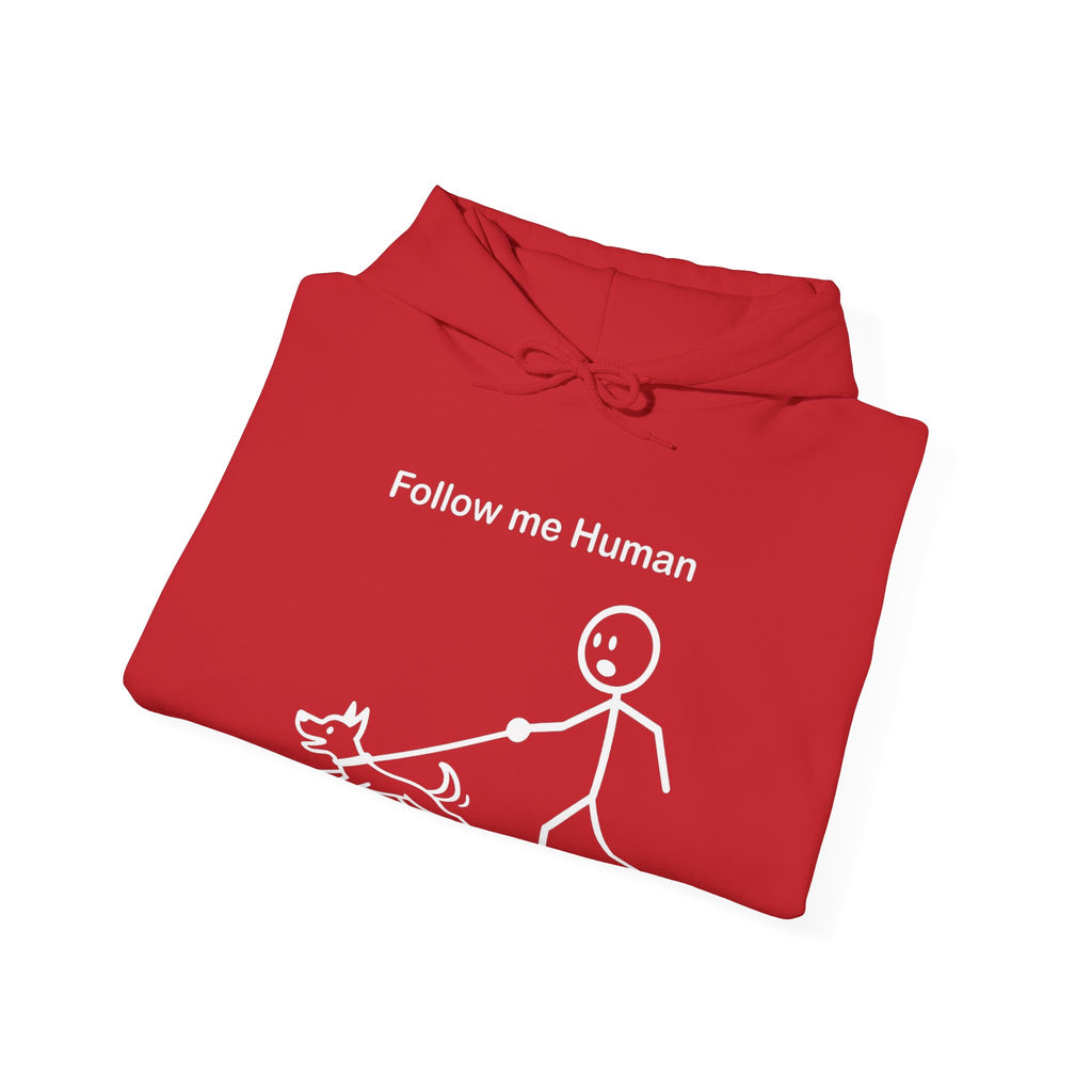 Follow Me Human Funny Dog Hoodie, Dog Lover Gift, Pet Owner Hoodie