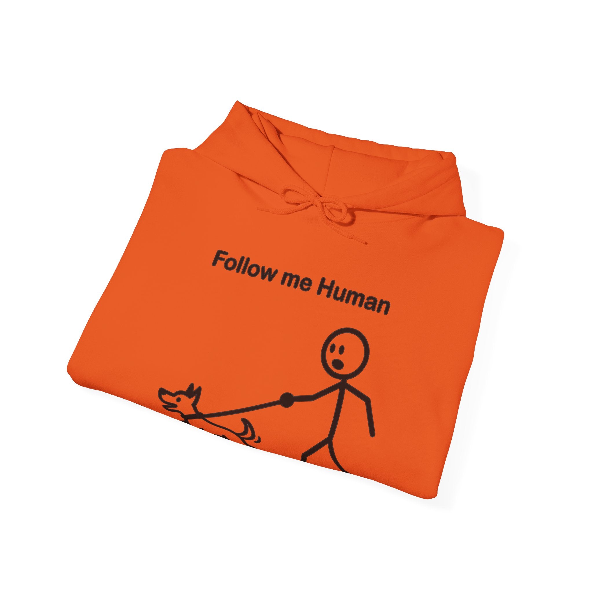 Follow Me Human Funny Dog Hoodie, Dog Lover Gift, Pet Owner Hoodie