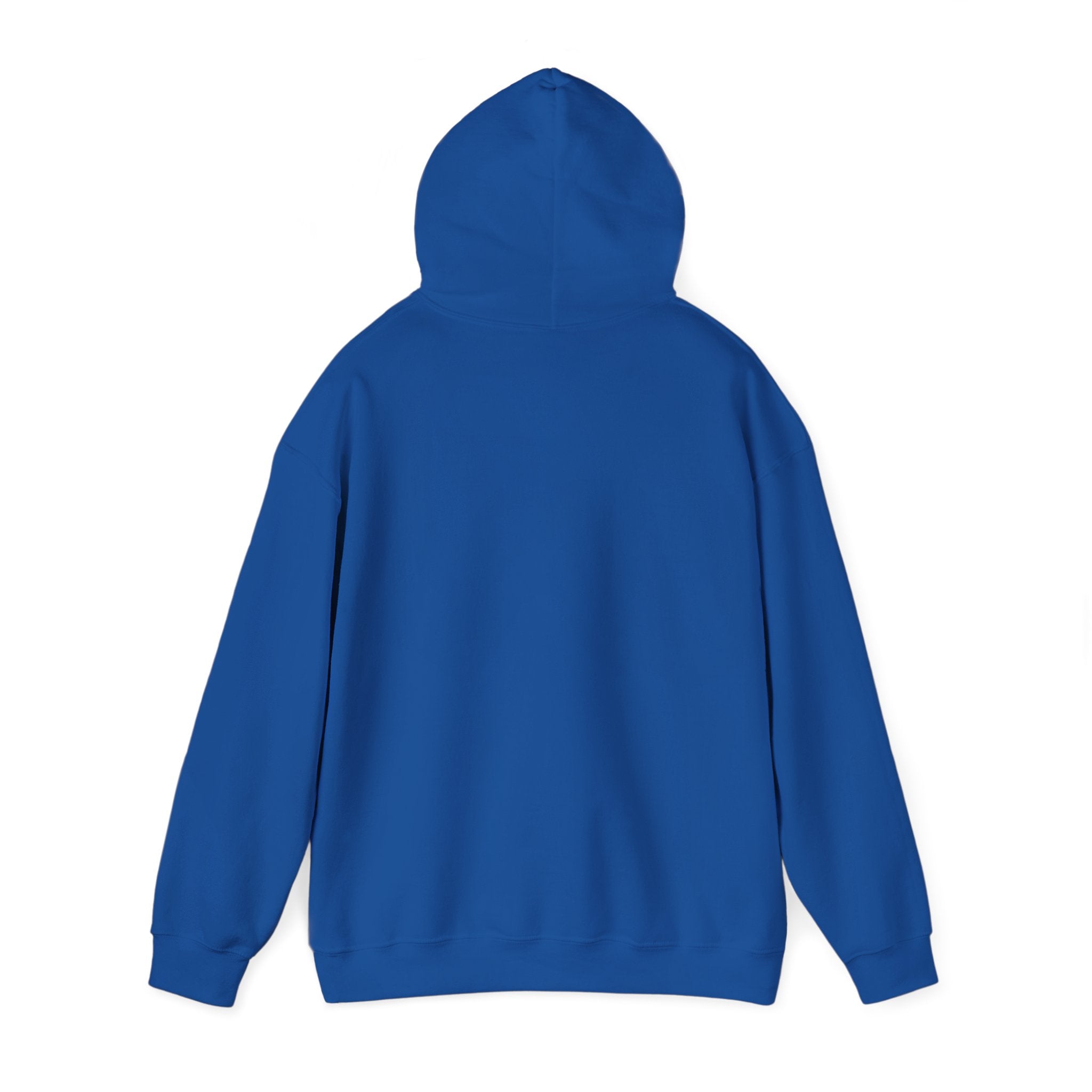 Cool Doggo Funny Dog Hoodie, Dog Walker Gift, Pet Lover Hoodie